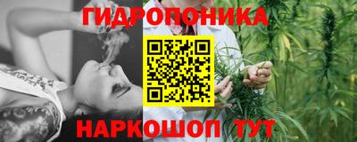 кокс Нальчик