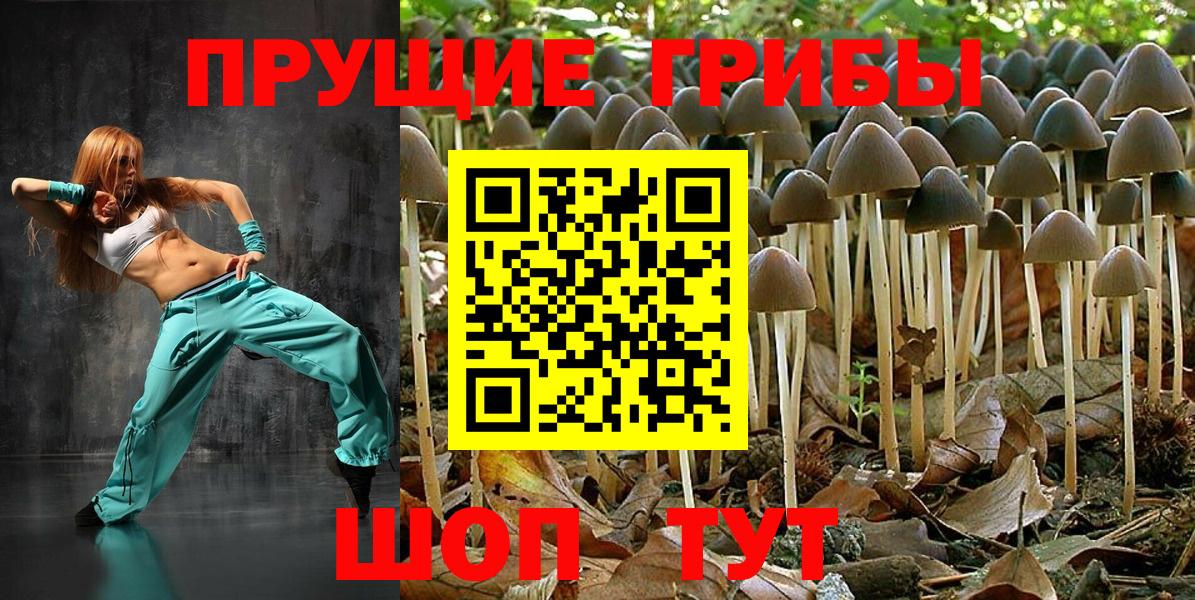 Псилоцибиновые грибы MAGIC MUSHROOMS  Галлюциногенные грибы мицелий  цены наркотик  Вход с VPN  Чапаевск 
